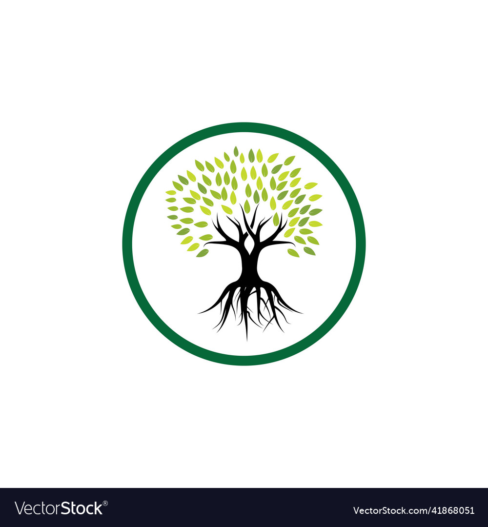 Tree logo template Royalty Free Vector Image - VectorStock