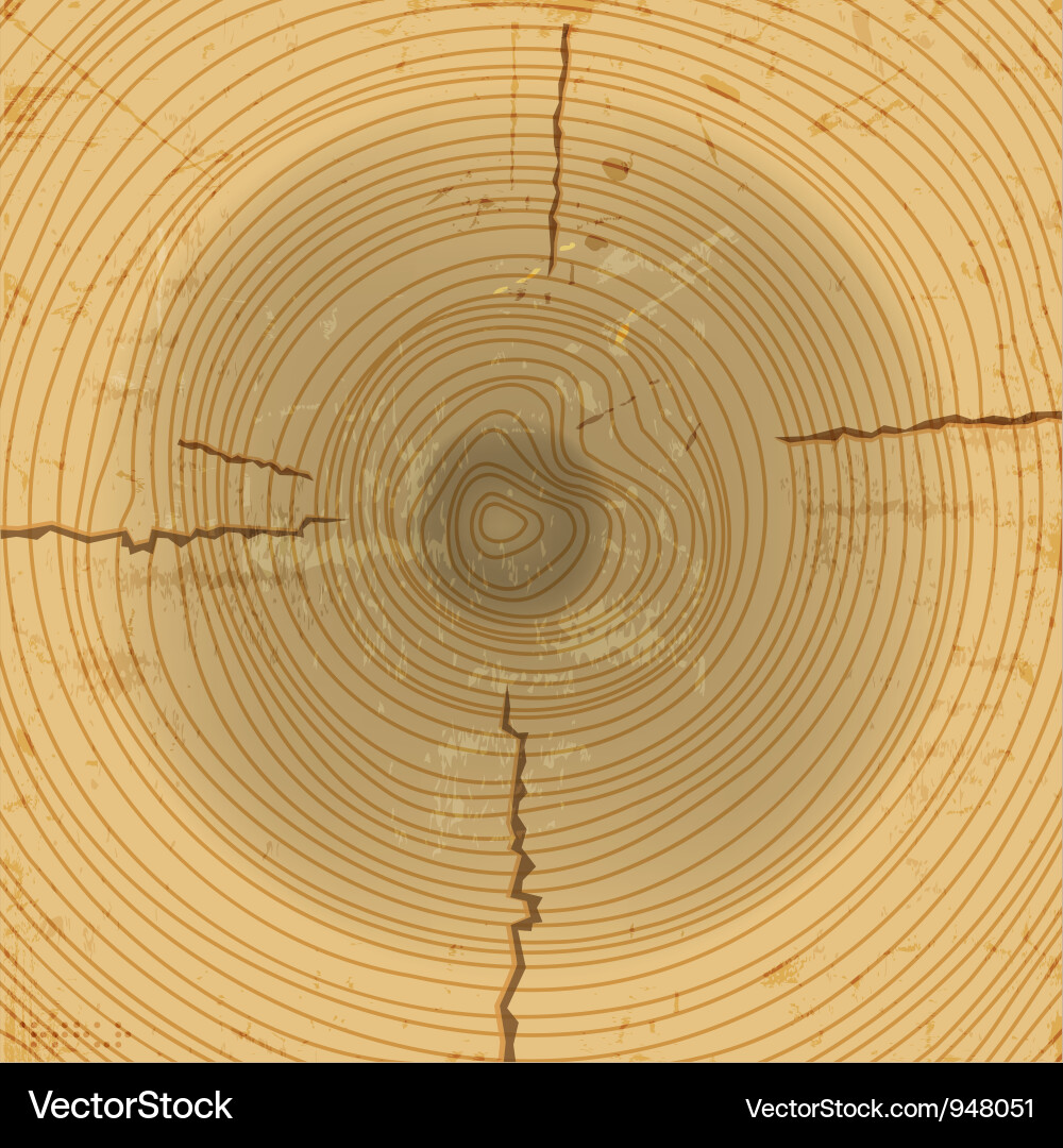 Wood cross section background Royalty Free Vector Image