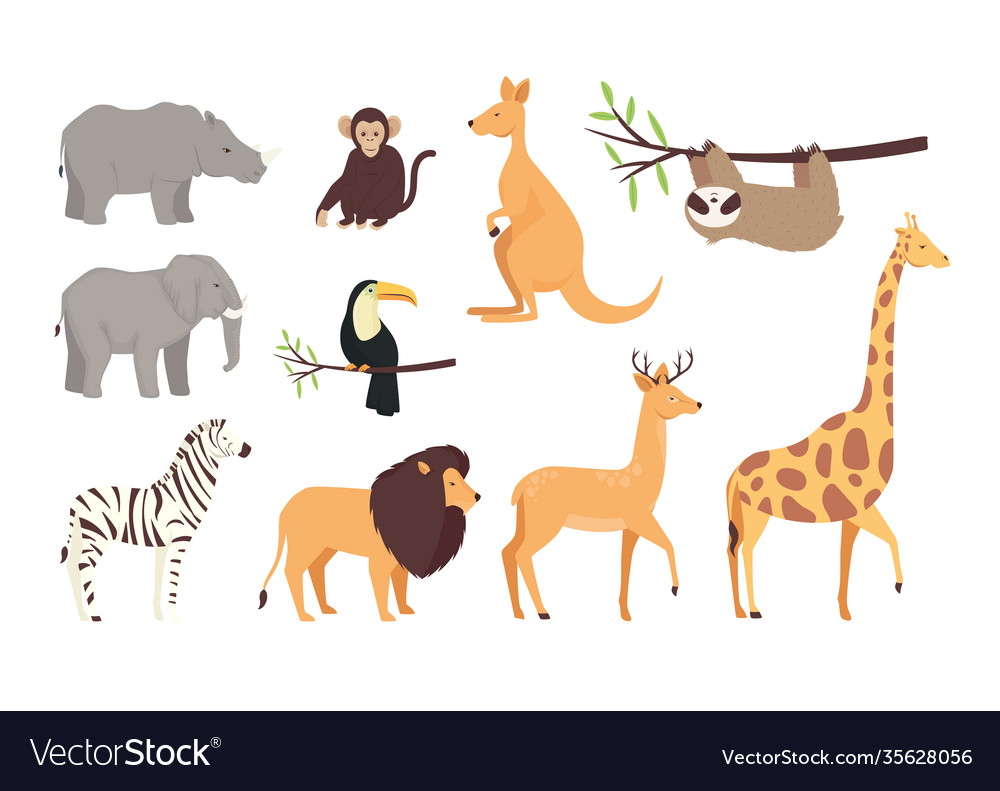 Bundle ten animals wild set icons Royalty Free Vector Image