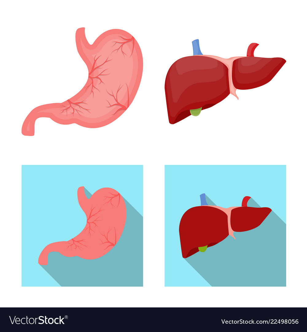 Design of body and human sign set