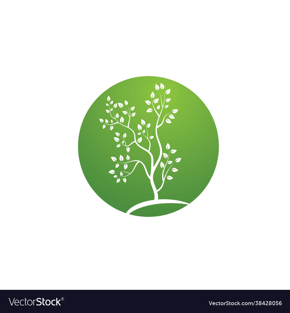 Tree branch design Vector Image Tree branch design