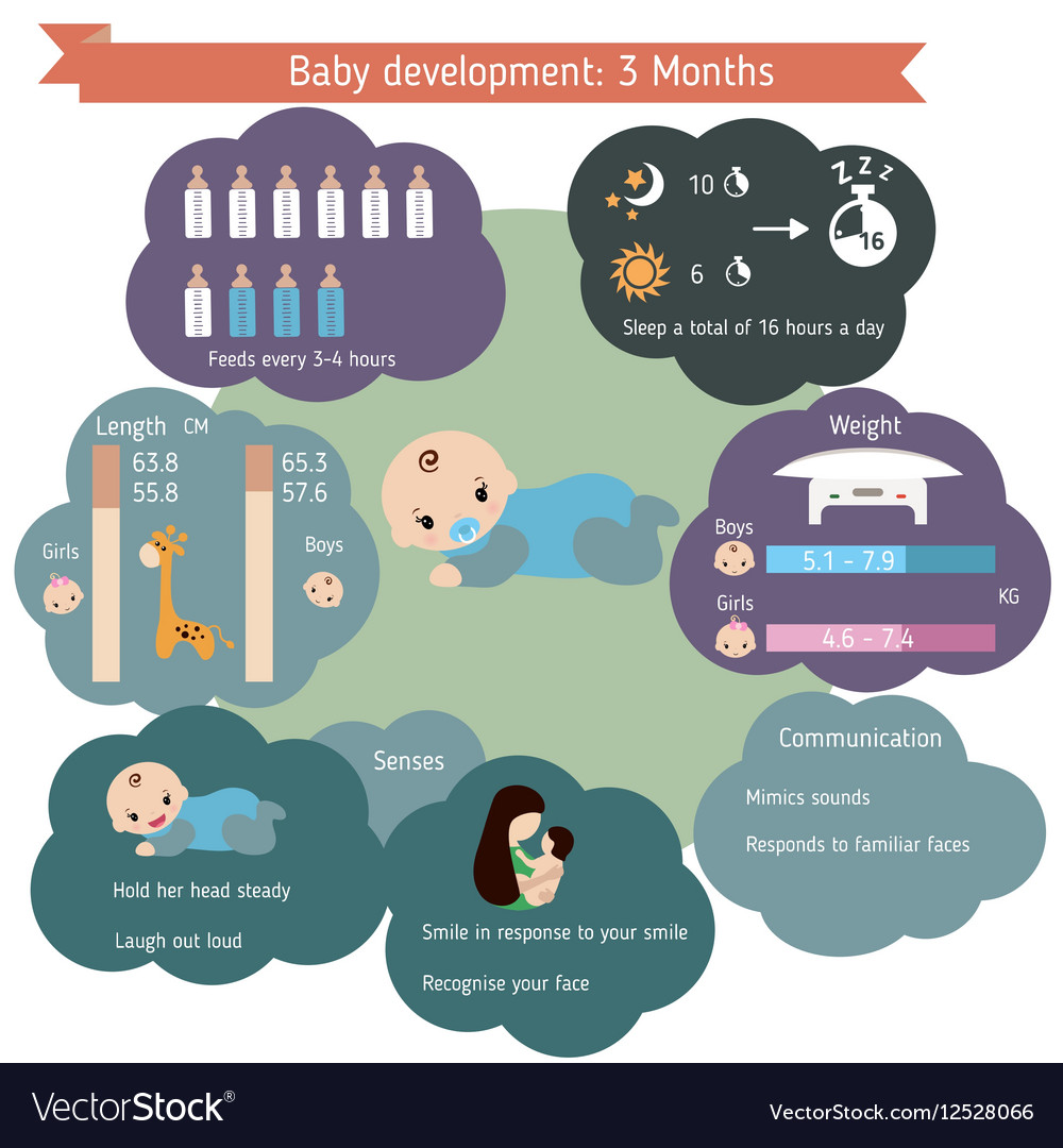 Child development infographics