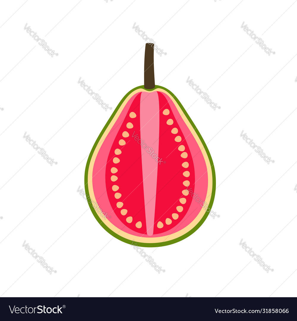 Guava in cut half fruit flat design