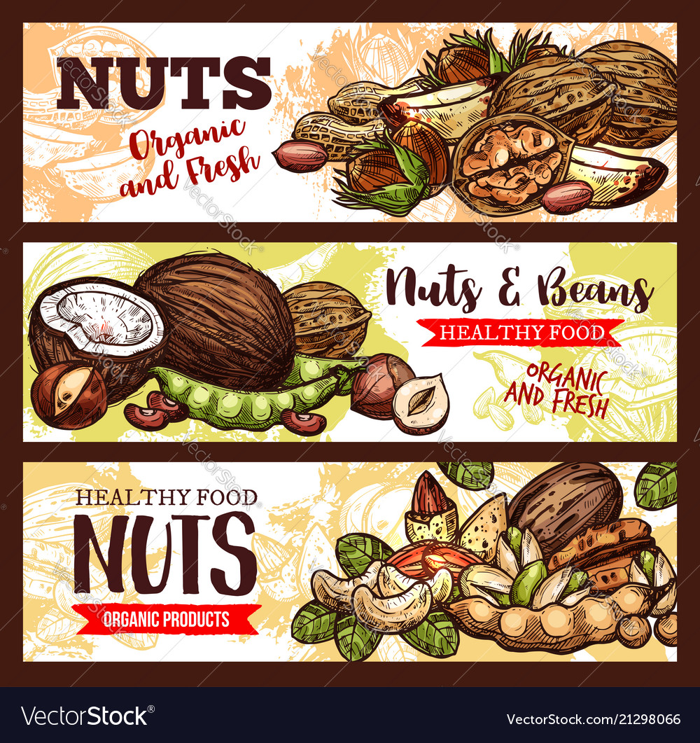 Sketch Banners Of Nuts And Beans Royalty Free Vector Image