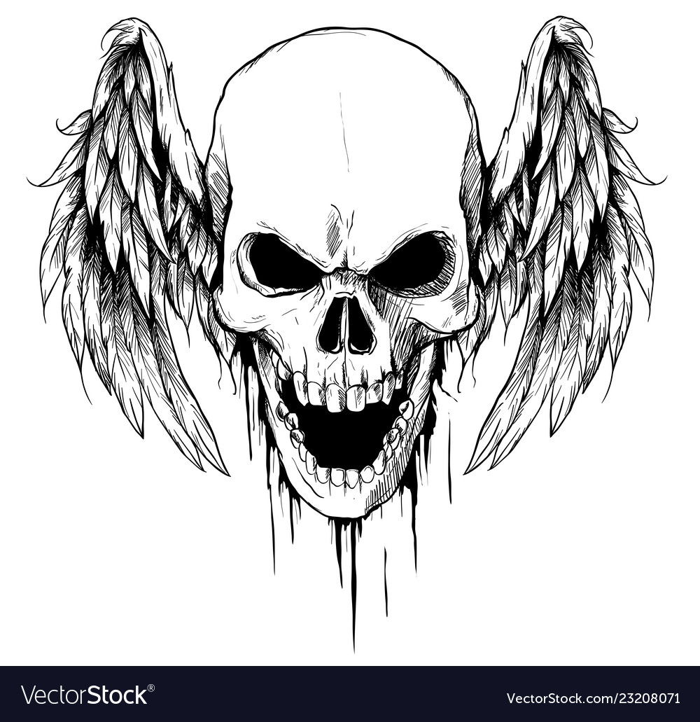 how to draw a skull with wings