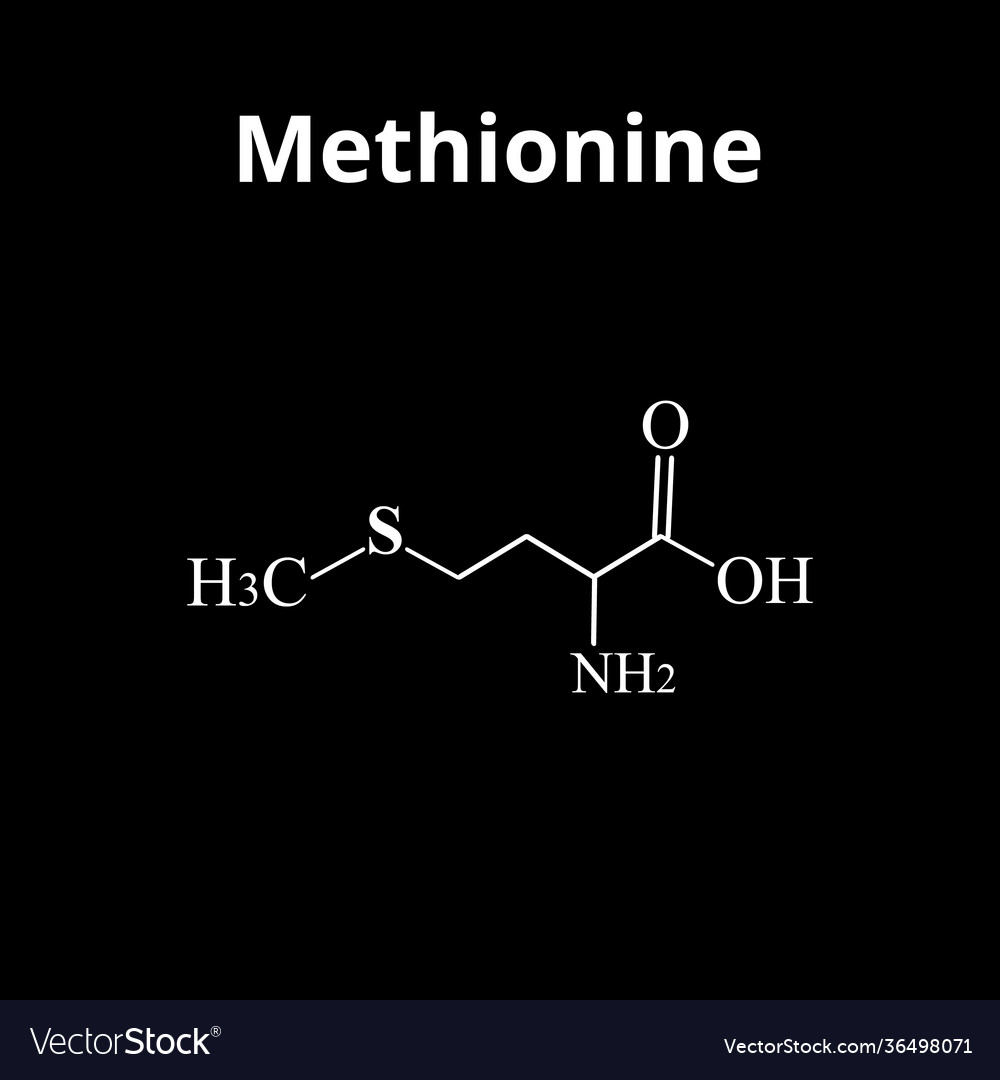 Methionine is an amino acid chemical molecular