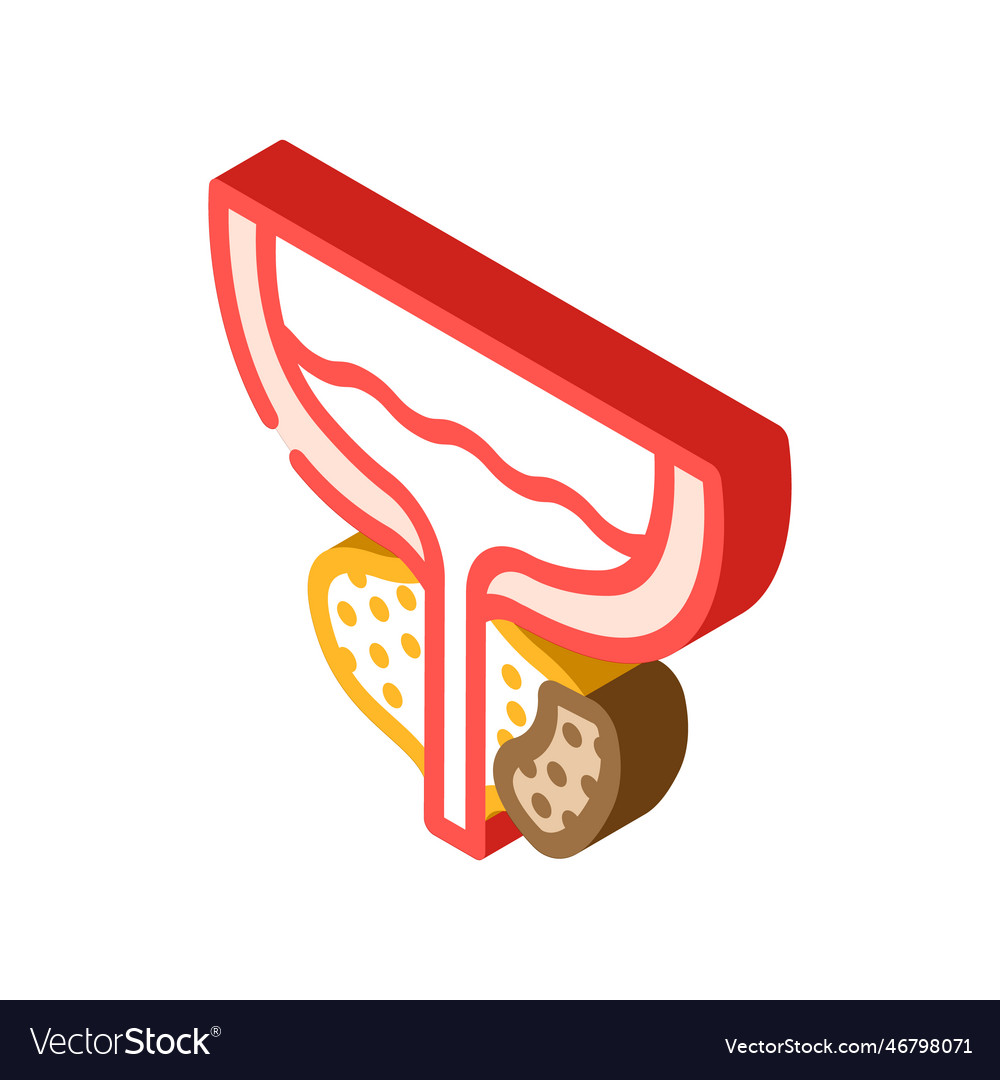 Prostate cancer isometric icon