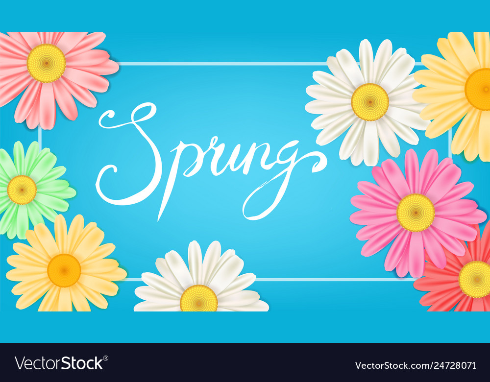 Spring banner hand drawn lettering background