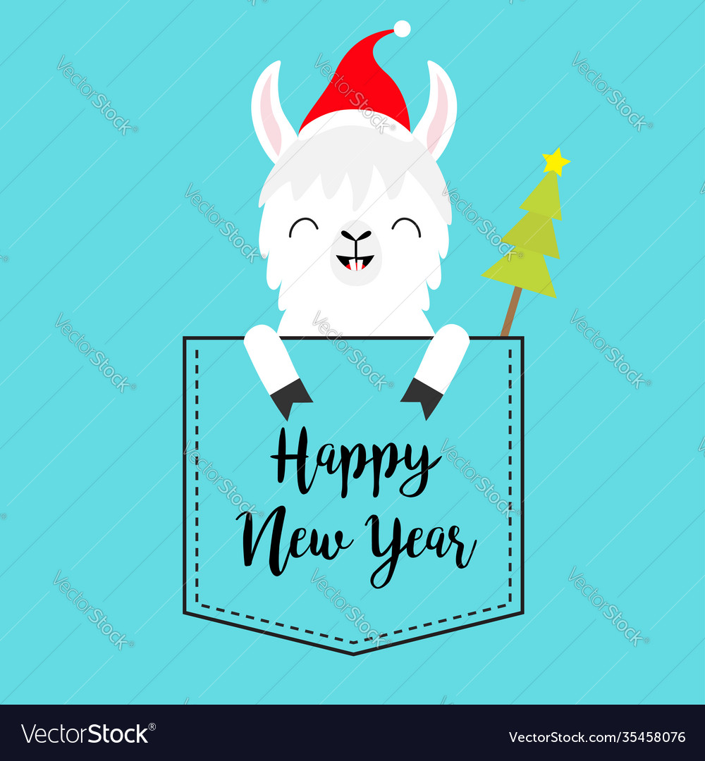 Happy new year alpaca llama sitting in pocket