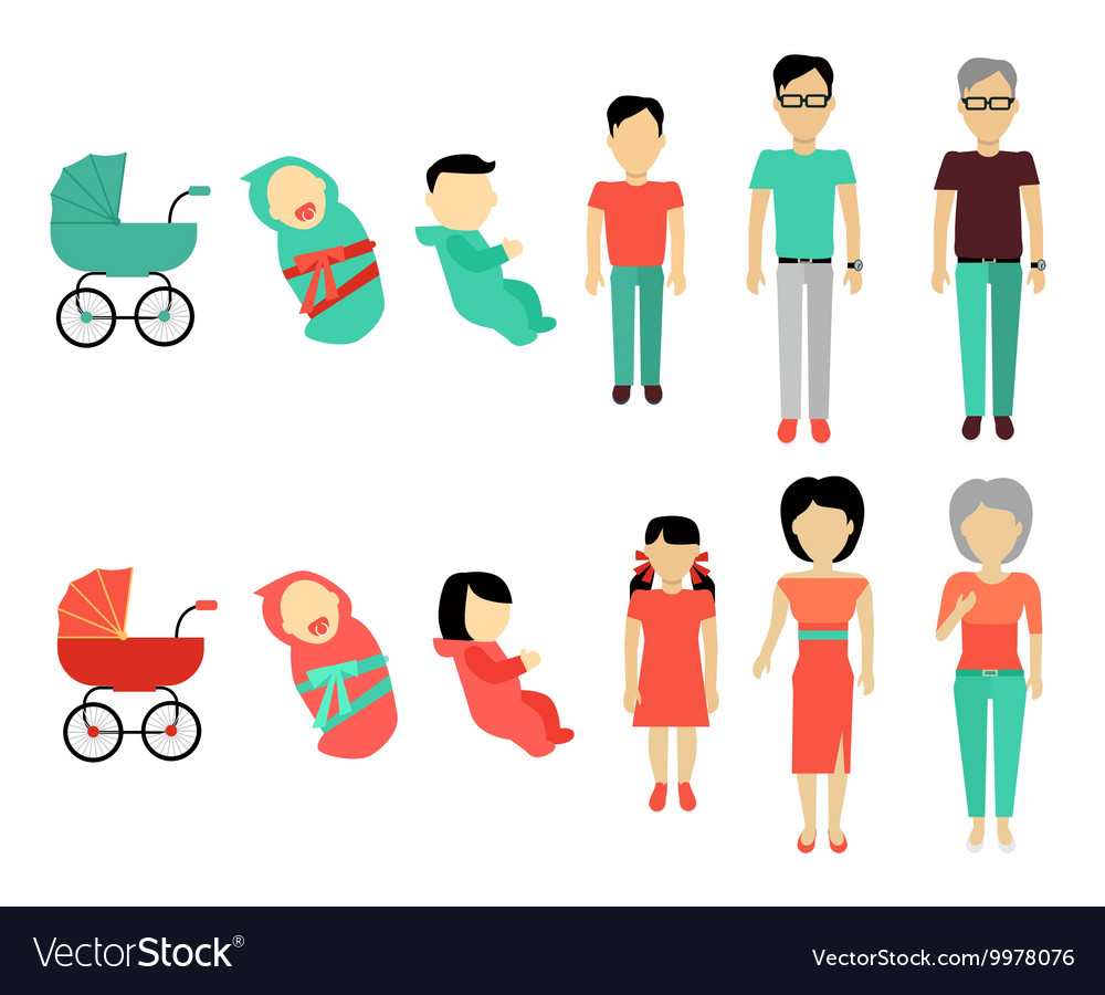 Growing up Stock Vector by ©interactimages 10278337