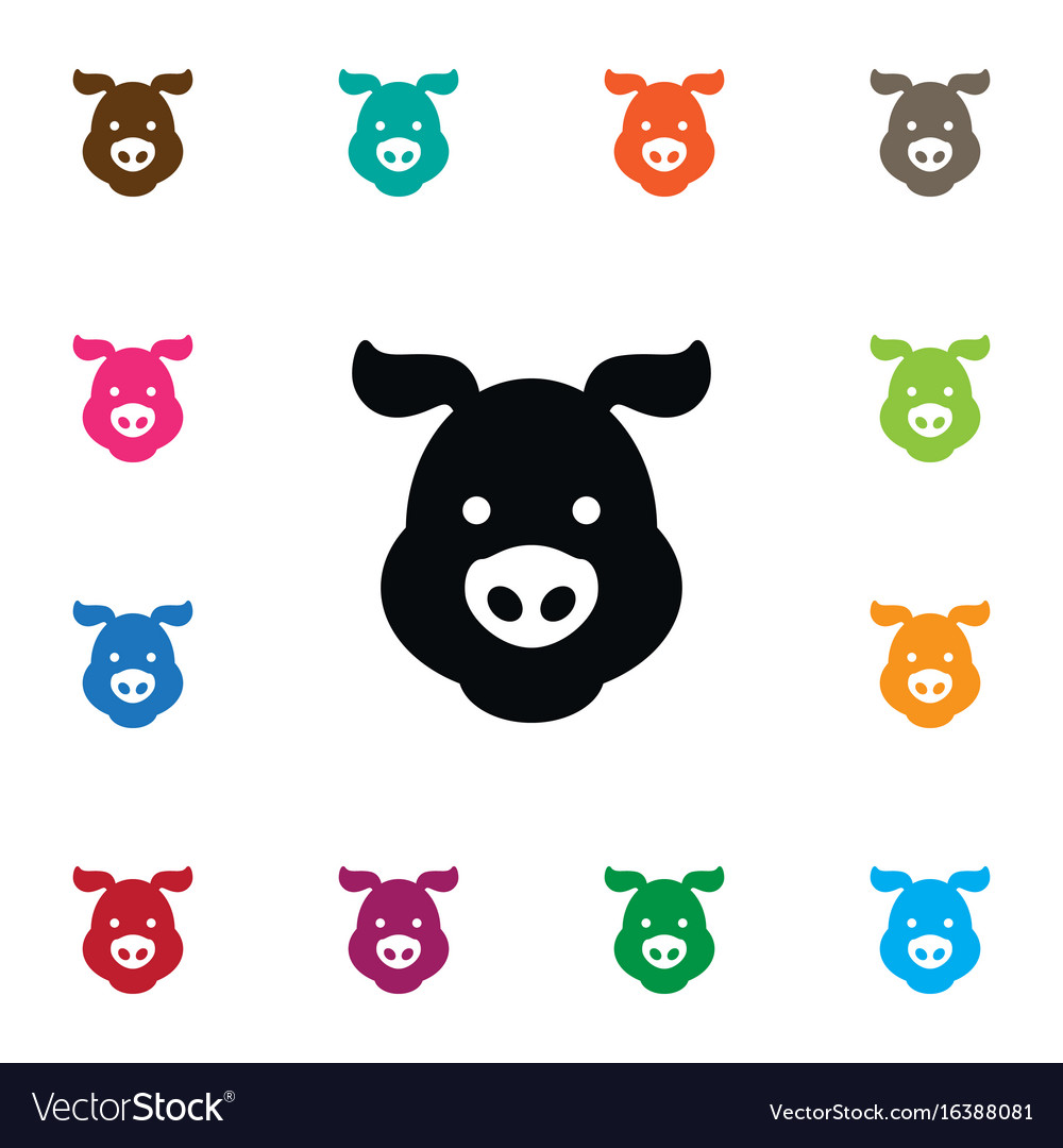Isolated swine icon hog element can