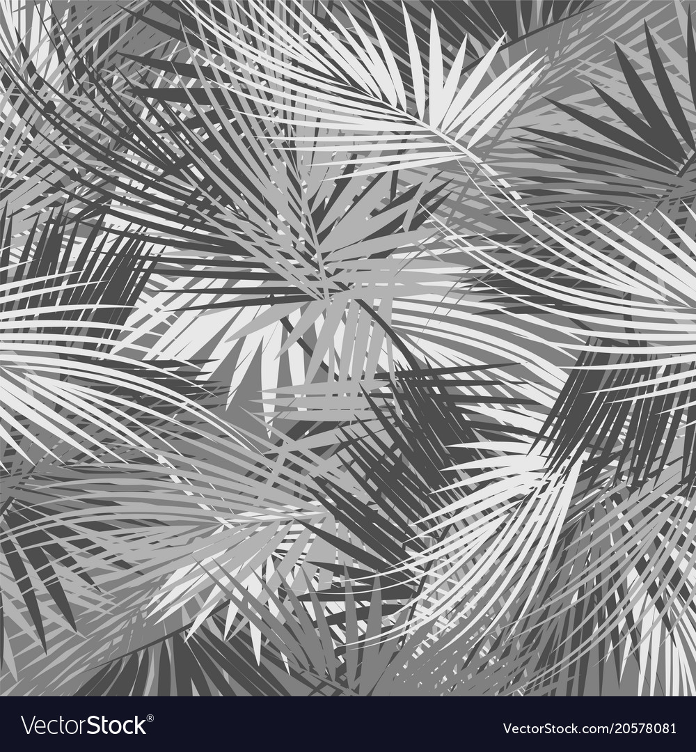 Palm tree branches