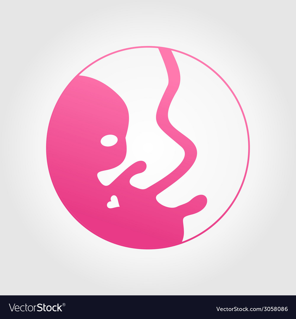 Human embryo