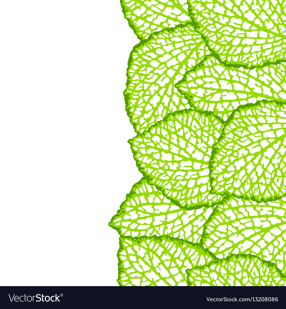 Leaf Border - Natural Botanical Pattern