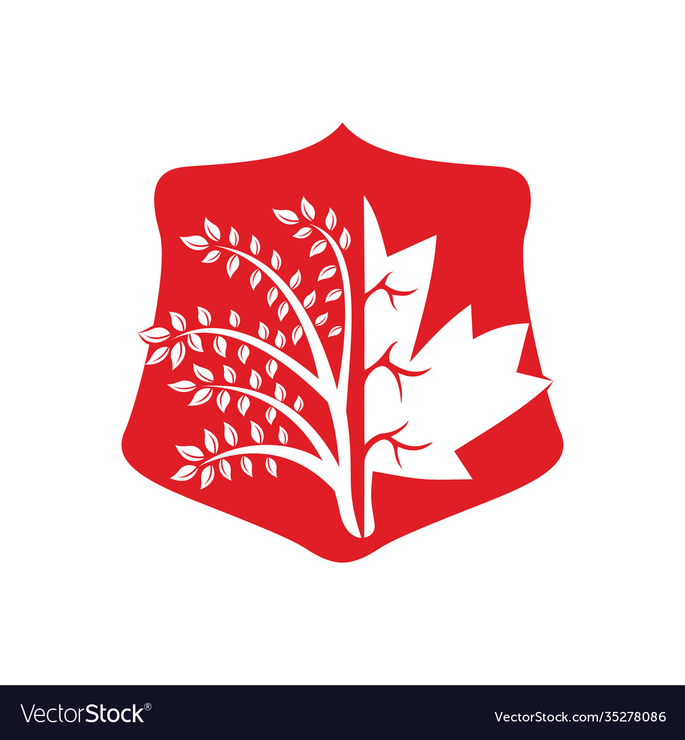 Maple leaf and tree design template