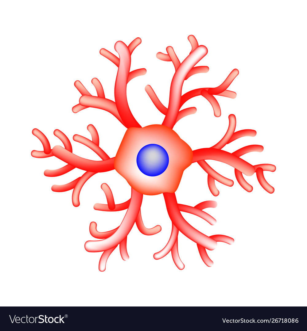 Structure microglia neuron nerve cell