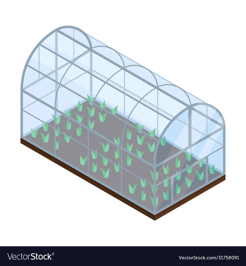 Agricultural crops or vegetables growing