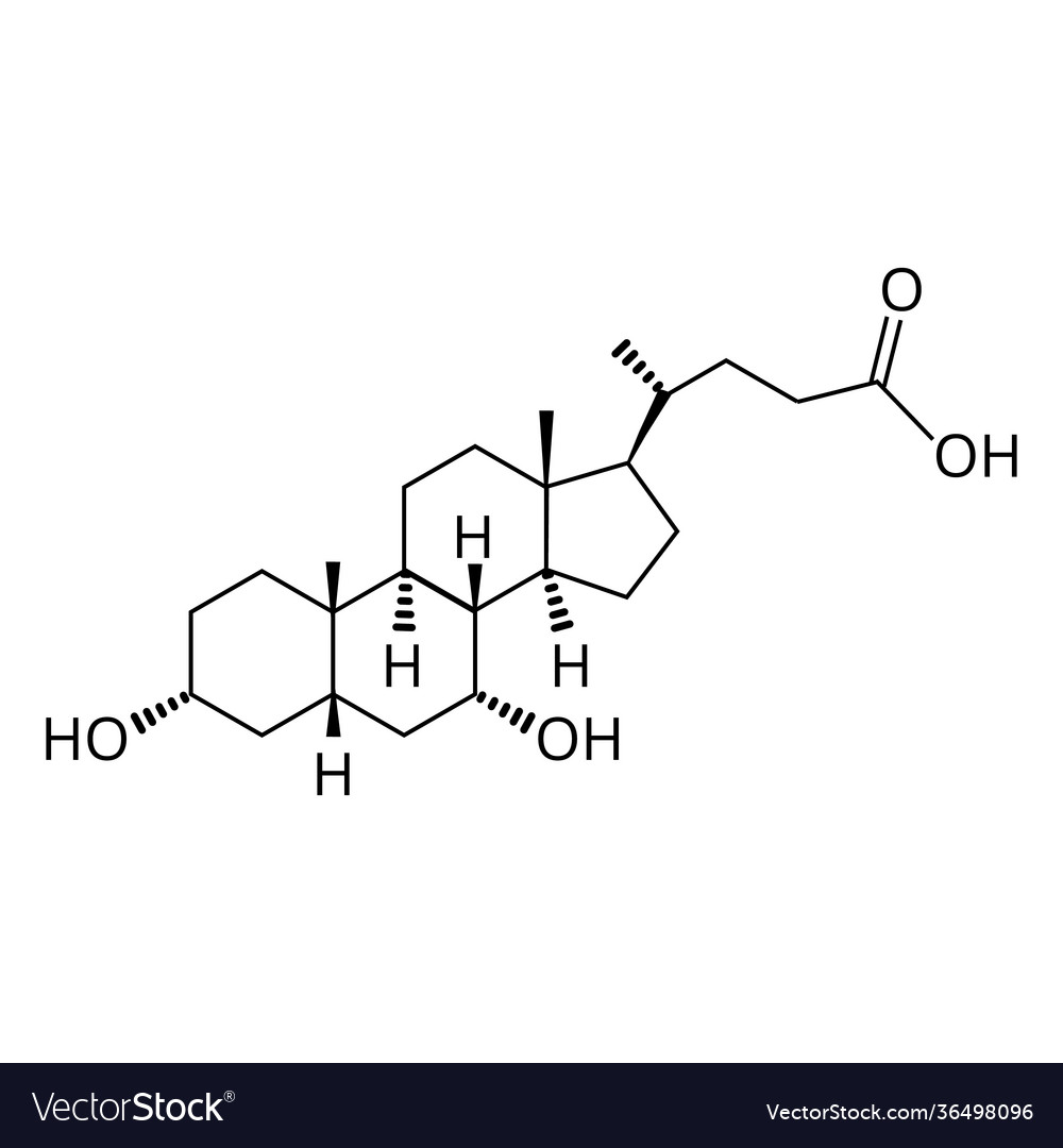 Chenodeoxycholic acid bile chemical Royalty Free Vector