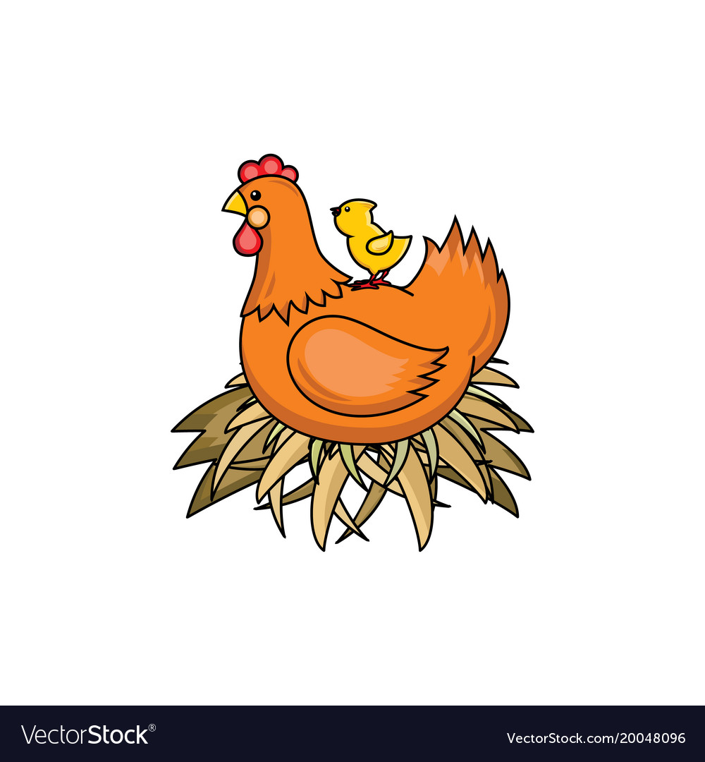 Flat hand drawn chicken in nest isolated