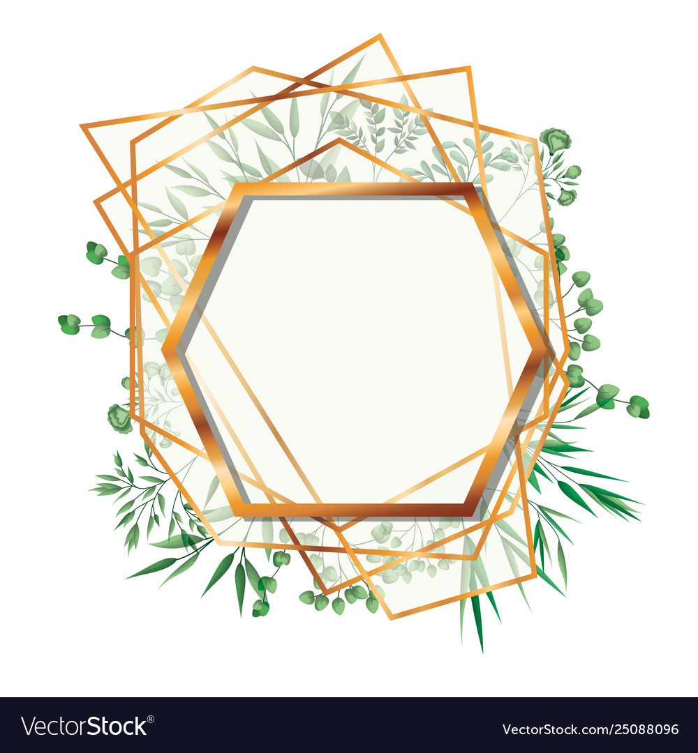 Golden frame hexagon with foliage isolated icon