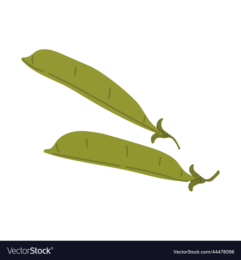 Grüne pea pod isolierte Cartoon Legumbohnenfutter vector image Grüne pea pod isolierte Cartoon Legumbohnenfutter
