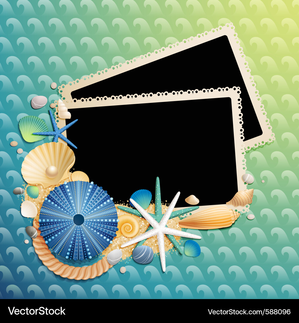 Shells and starfishes Royalty Free Vector Image