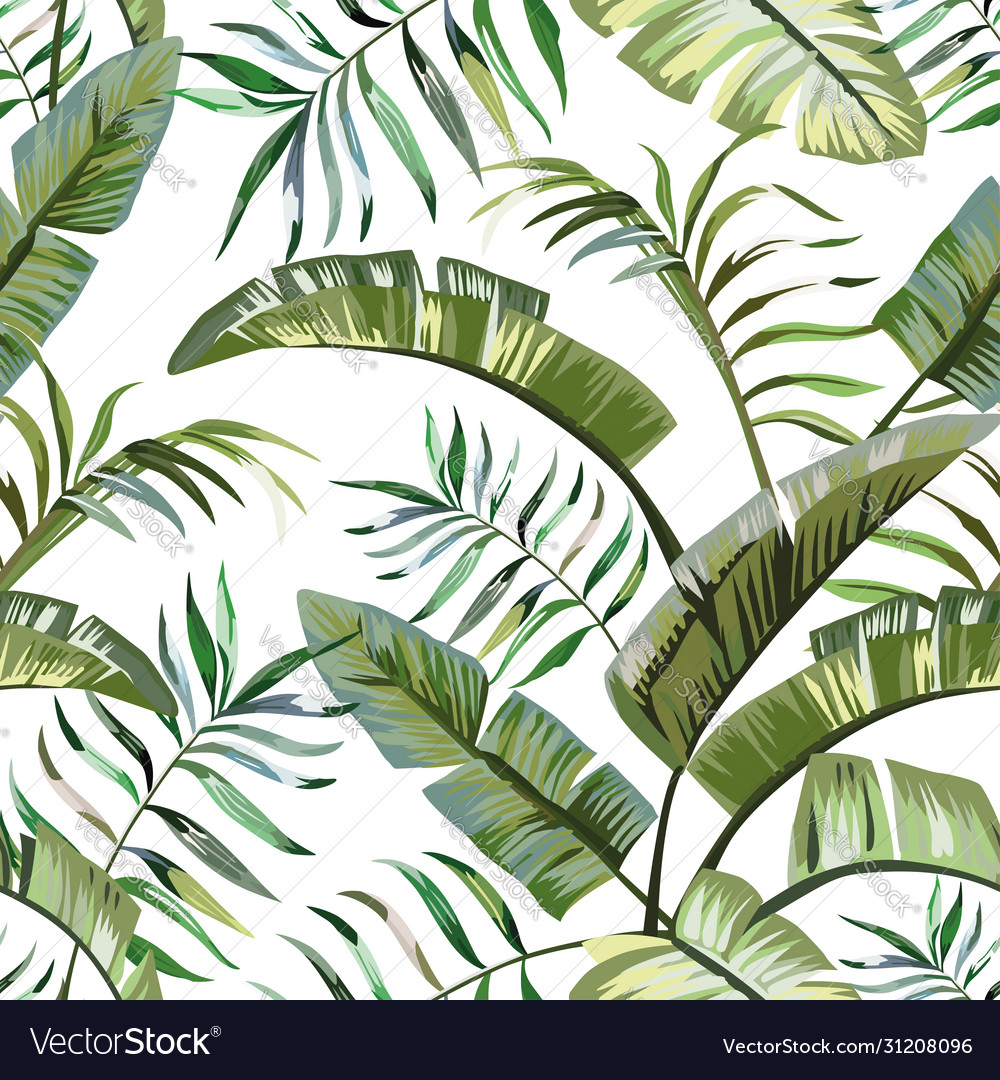 Tropical leaves seamless white background Vector Image