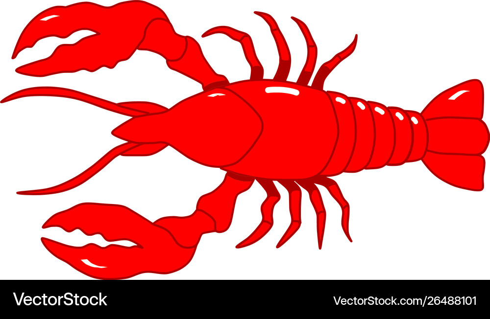 Cartoon lobster red animal Royalty Free Vector Image