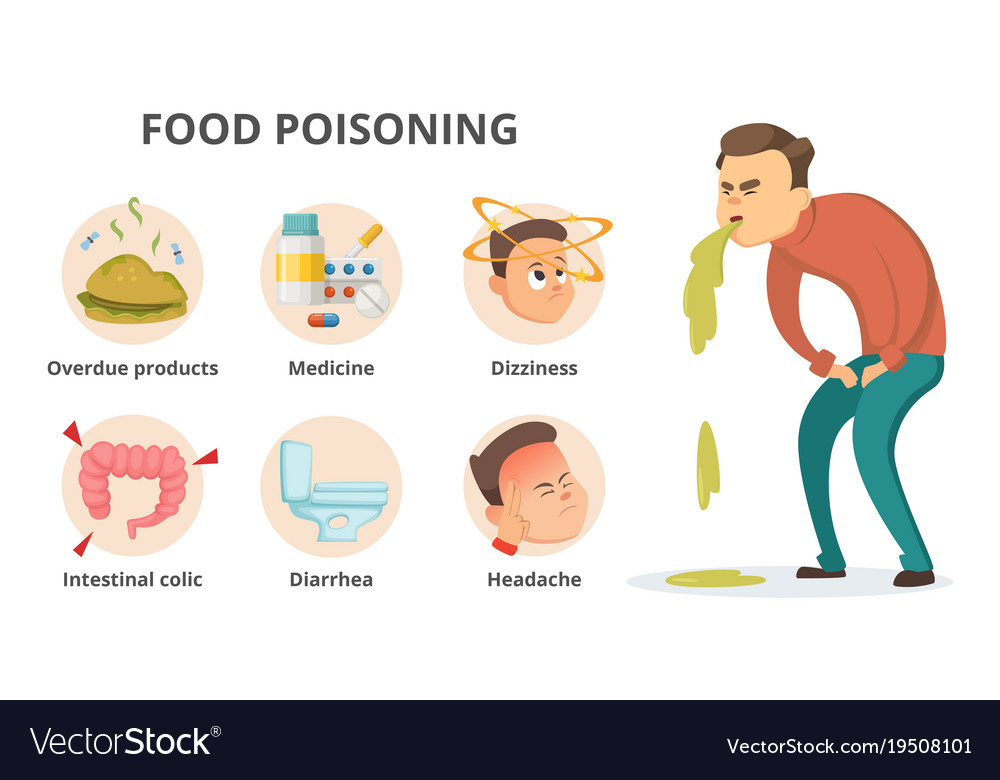 Different Symptoms Of Food Poisoning Infographic Vector Image