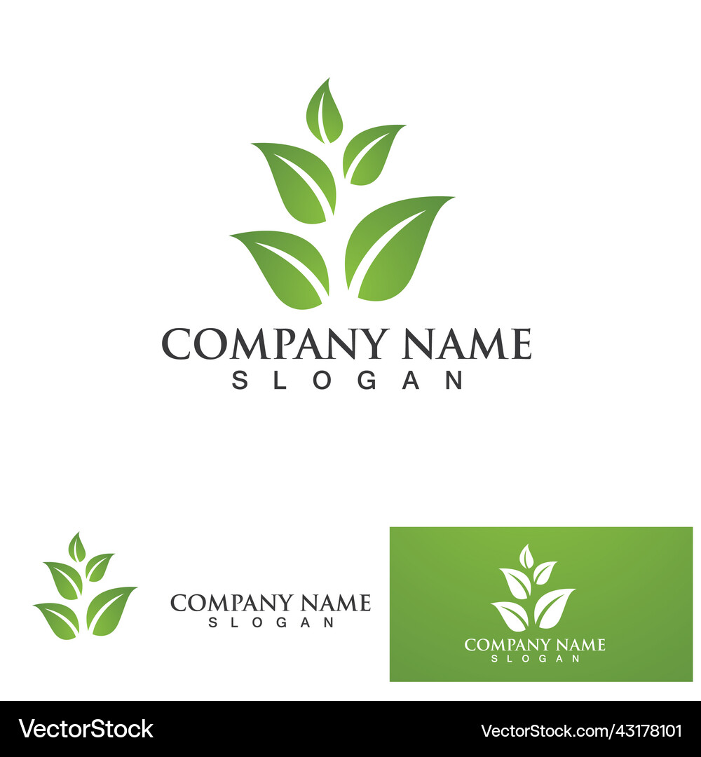 Leaf logo icon design template Royalty Free Vector Image