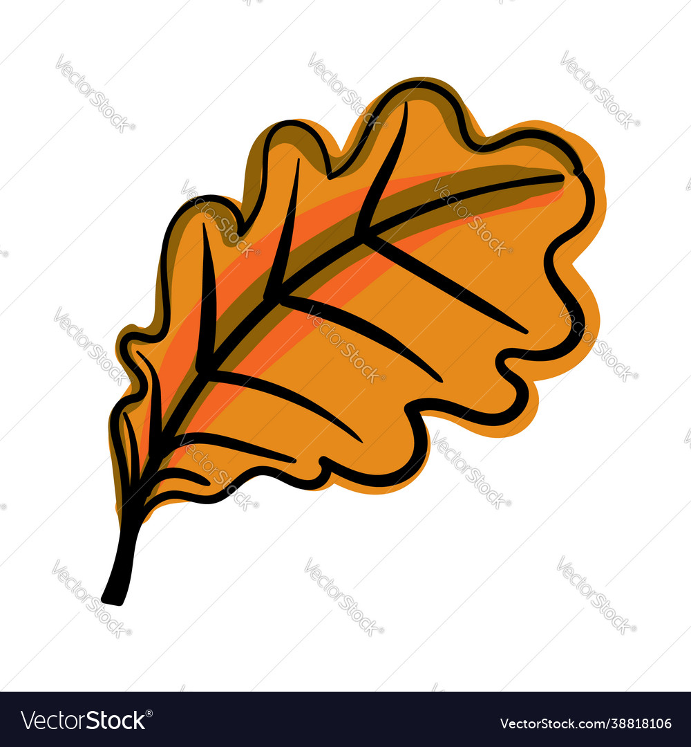 Hand drawn color oak leaf