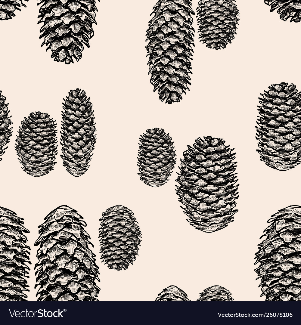 Seamless pattern sketches fir cones