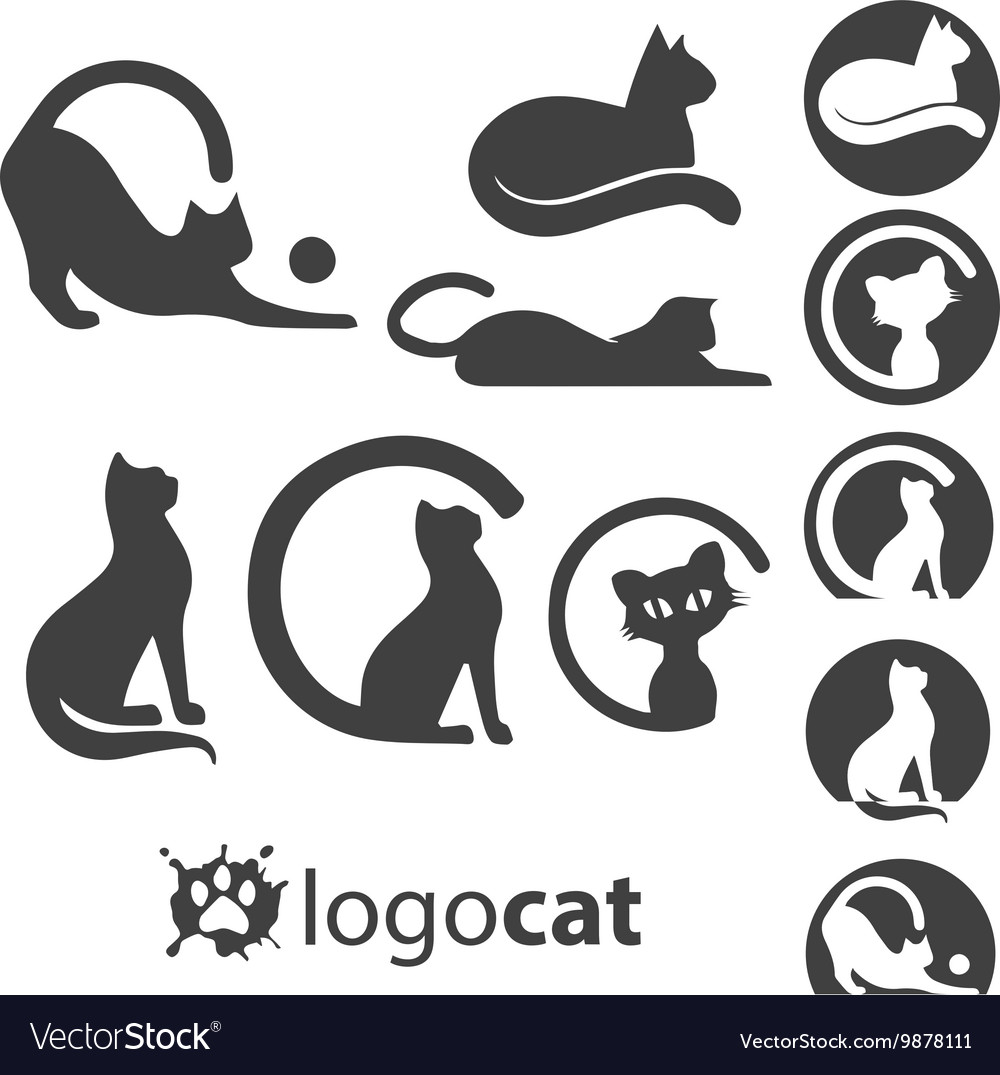 Cute cat icon symbol set on white Royalty Free Vector Image