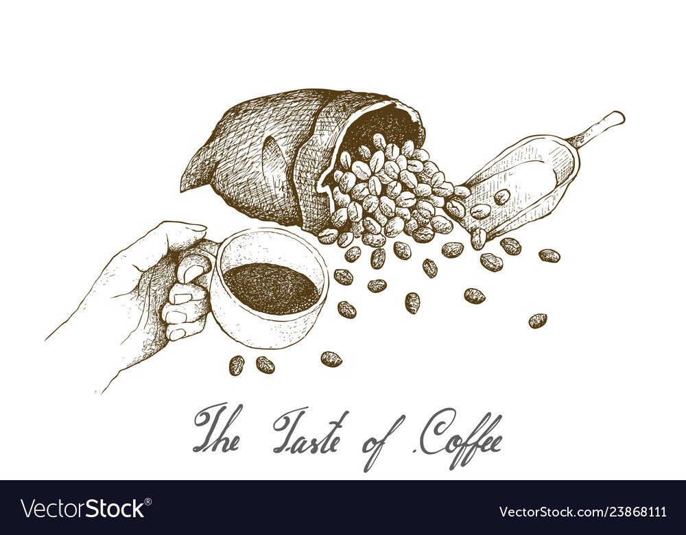 Hand drawn of holding a cup hot coffee