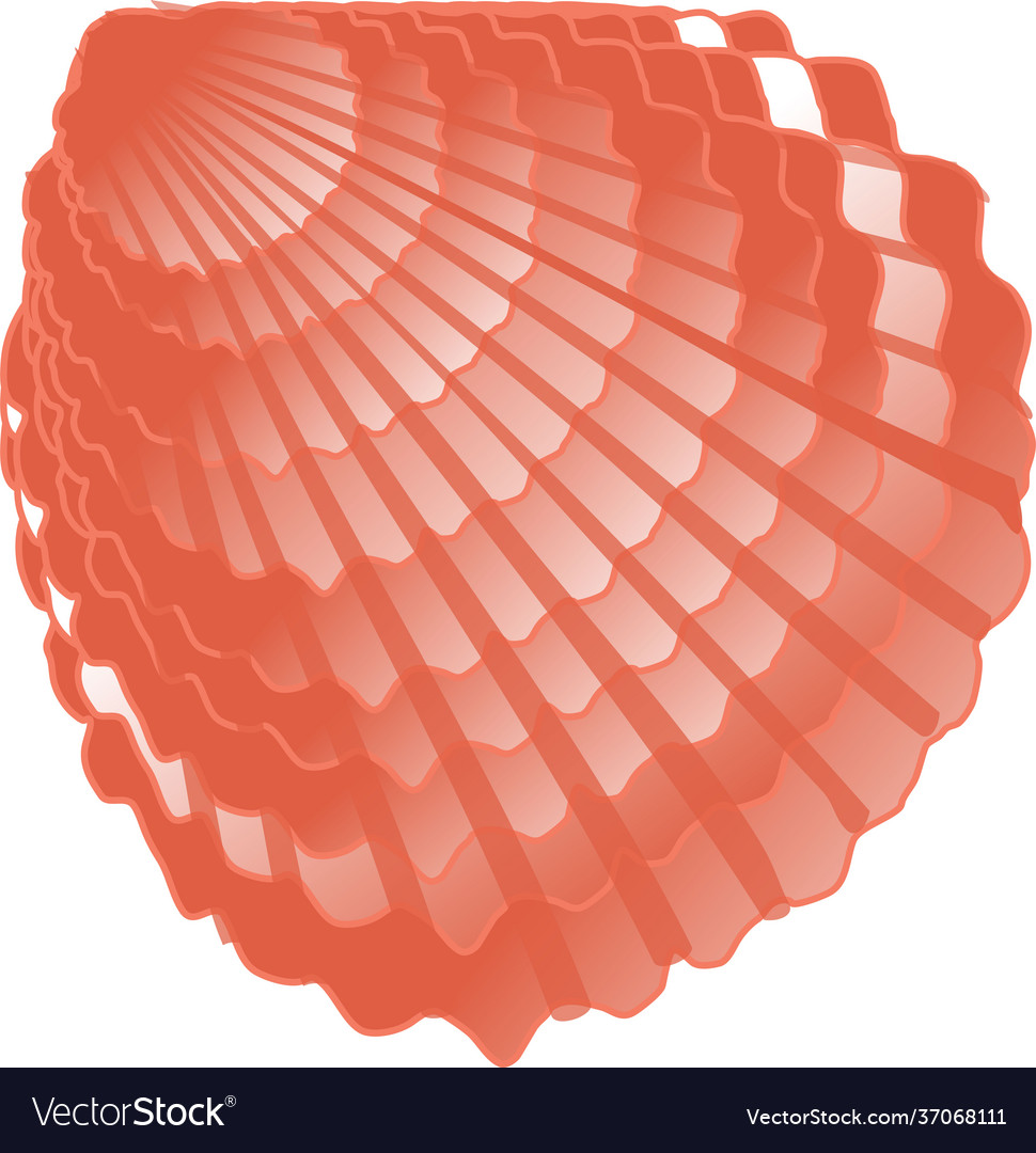 Image a seashell vector image Image a seashell