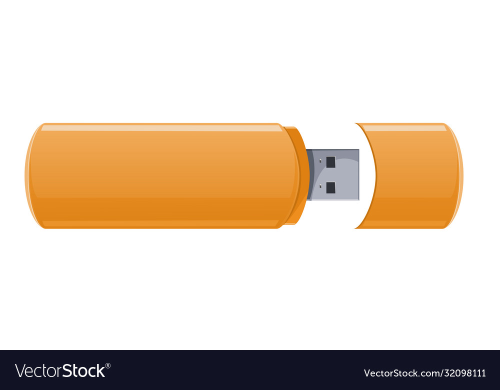 Usb flash memory vector image Usb flash memory