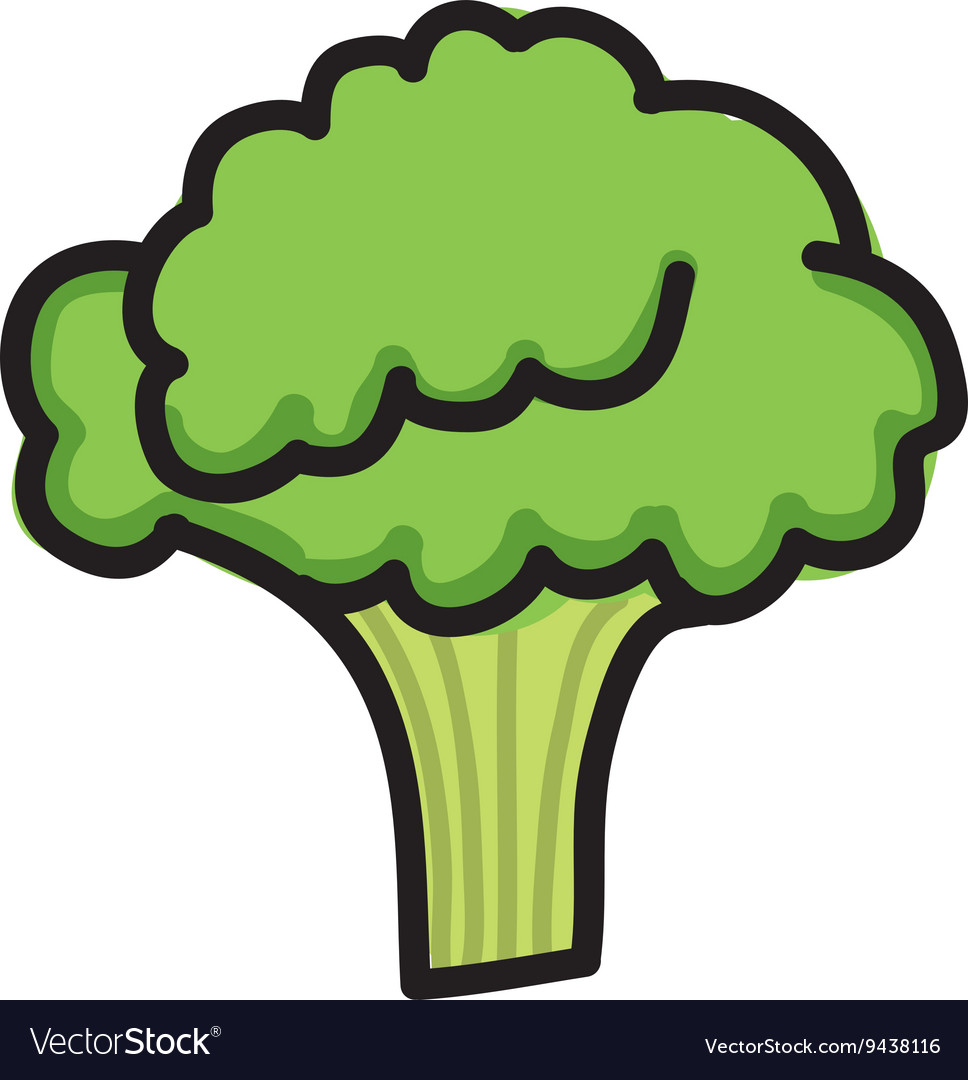 Broccoli fresh isolated icon design