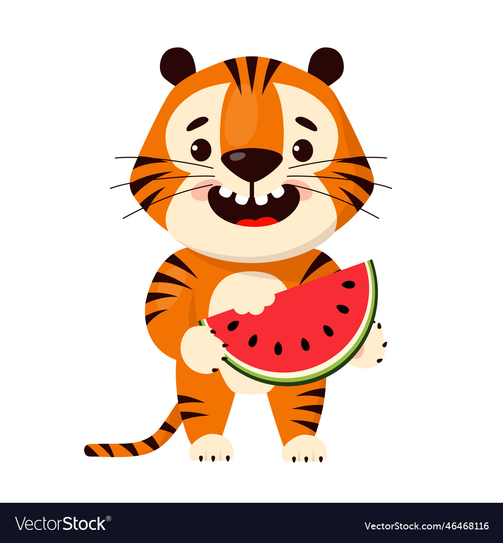 Cute cartoon tiger eating watermelon slice Vector Image