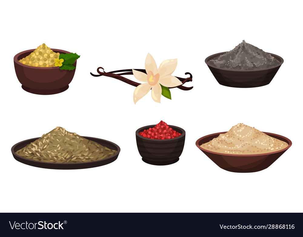 Heaps different spices and condiments poured vector image Heaps different spices and condiments poured
