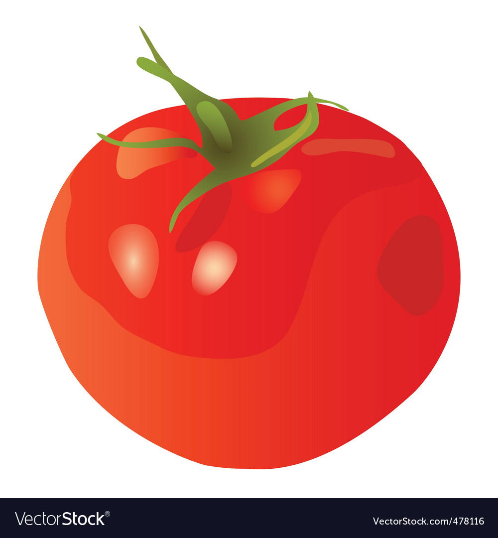 Tomato