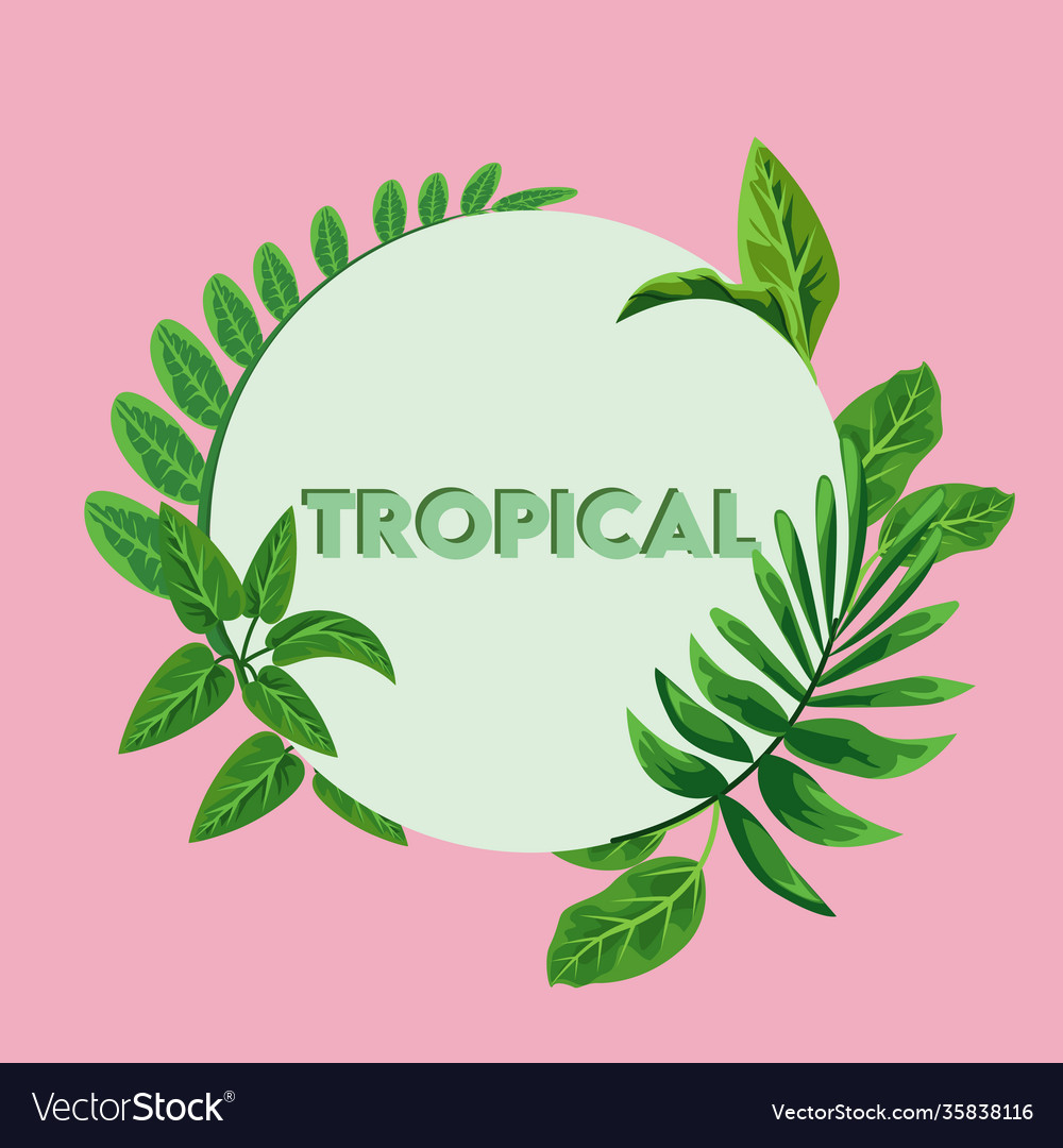 Tropical lettering poster with green leafs