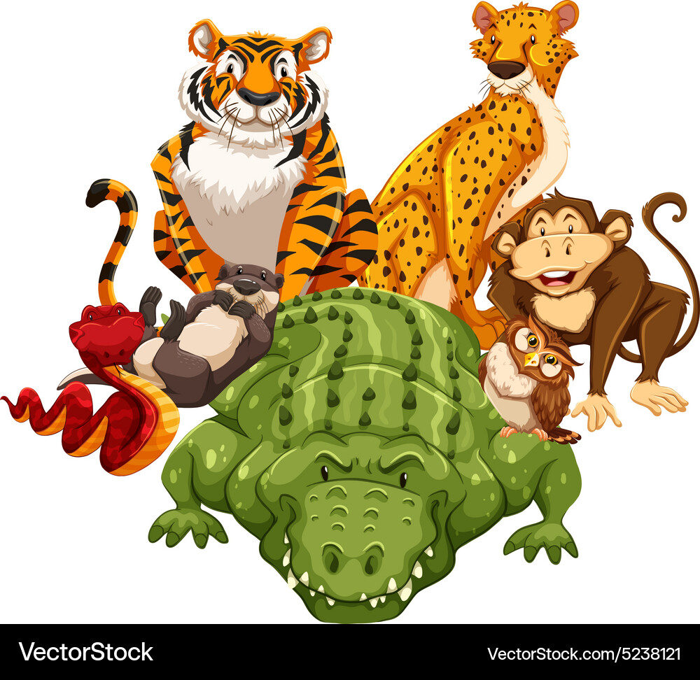Animals Royalty Free Vector Image - VectorStock