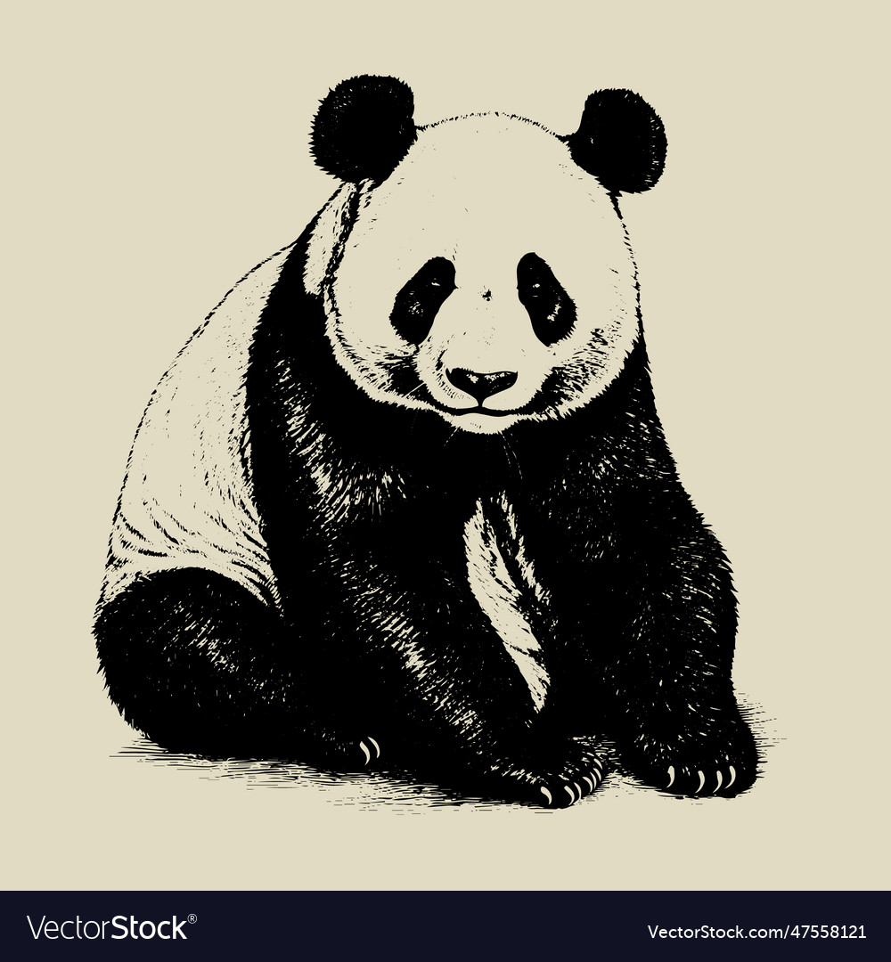 How to draw BEAUTIFUL PANDA BEAR cute and beautiful ♥ Cute Drawings