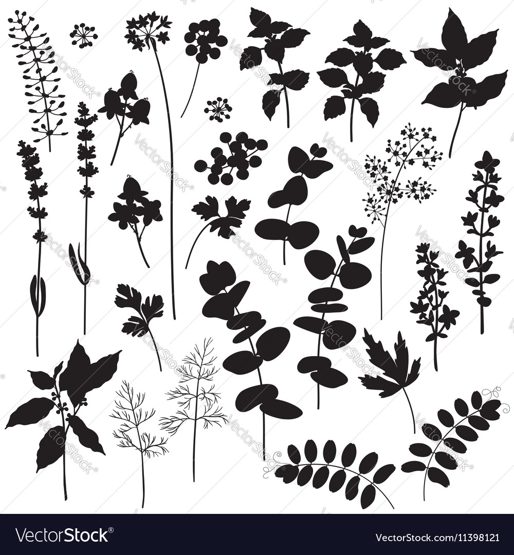 Download Plants silhouette Royalty Free Vector Image - VectorStock