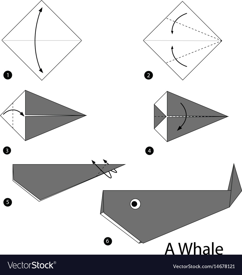 Step Step Instructions How To Make Origami Vector Image