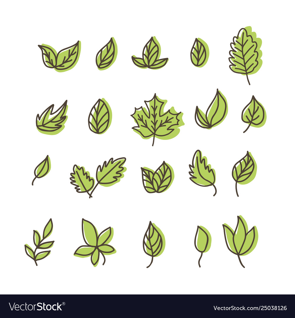 Set isolated green leaves icons on white