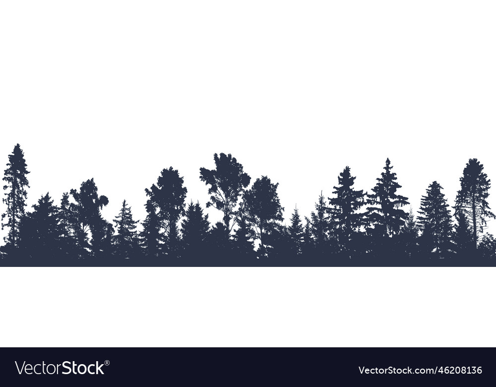 Panorama of beautiful forest silhouette firs Vector Image