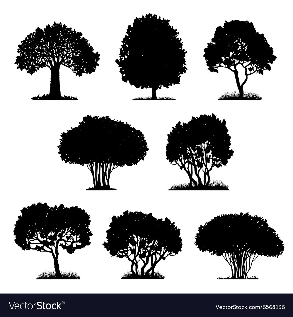 Set of tree silhouettes