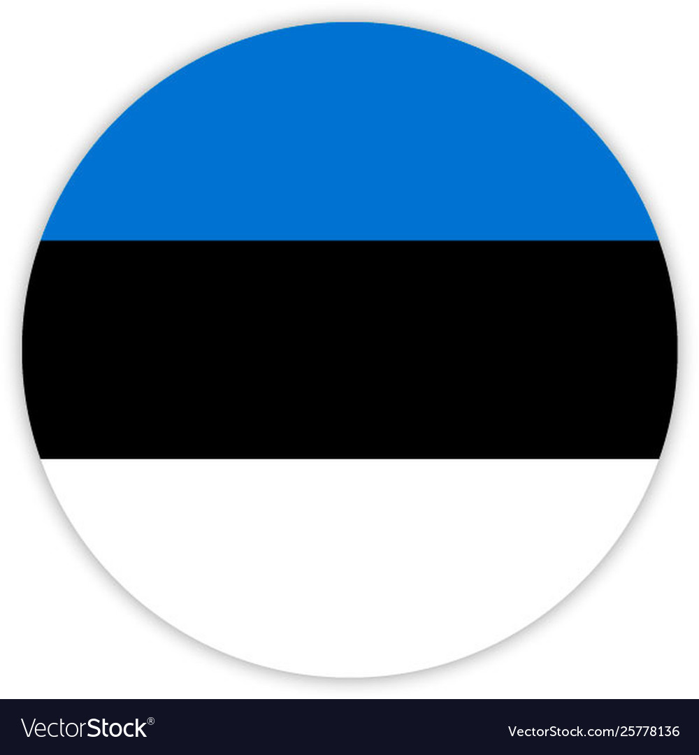 Simple round flag vector image Simple round flag