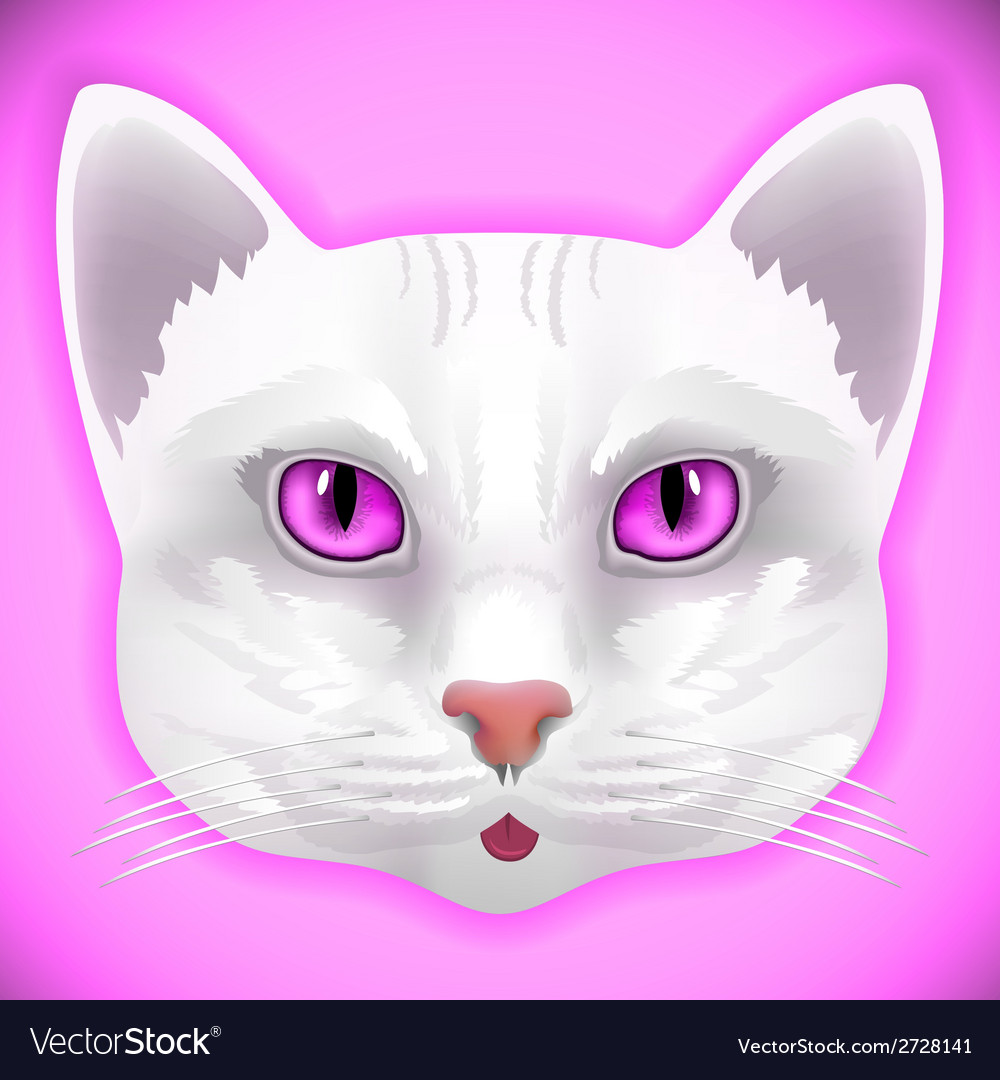 Cat face eyes animal cute kitten bow hair facial